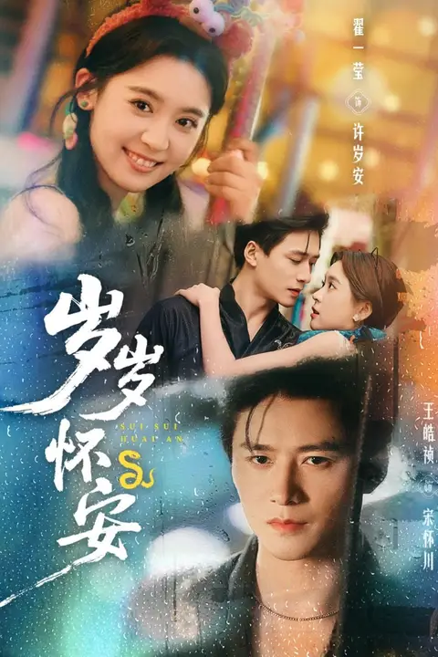 《岁岁怀安》封面