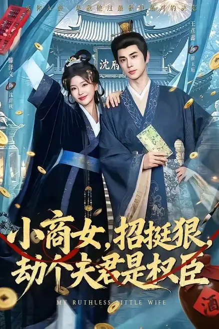 《小商女,挺挺狠,劫个夫君是权臣》封面