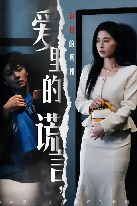 《爱里的谎言,仇恨的真相》封面