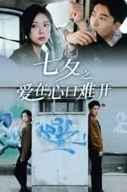 《七夕之爱在心口难》封面