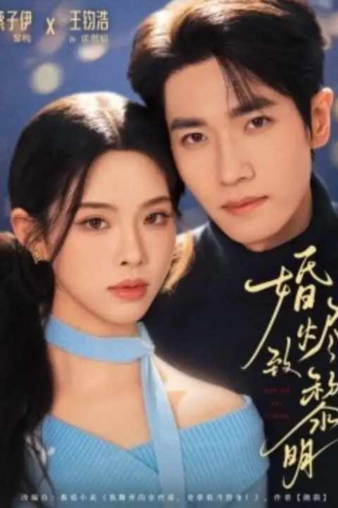 《婚烬致黎明》封面