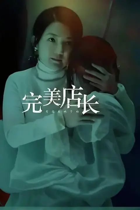 《完美店长》封面
