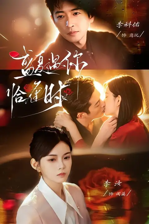 《婚夜温柔（盛夏遇你恰逢时 ）》封面