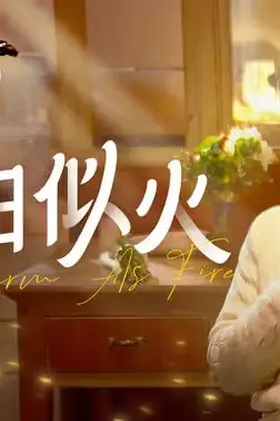 《暖阳似火》封面