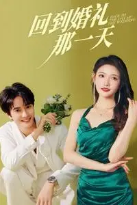 《回到婚礼那一天》封面