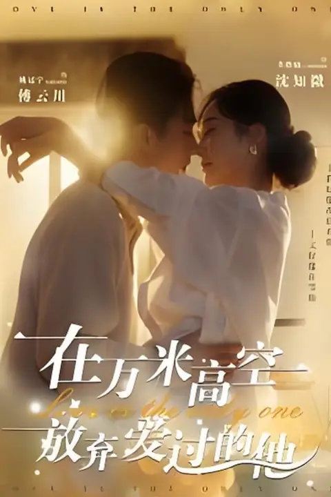 《在万米高空放弃爱过的他》封面