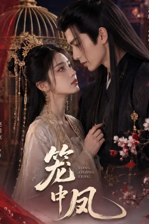 《笼中凤》封面