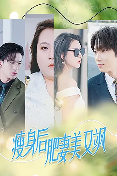 《瘦身后肥妻美又飒》封面