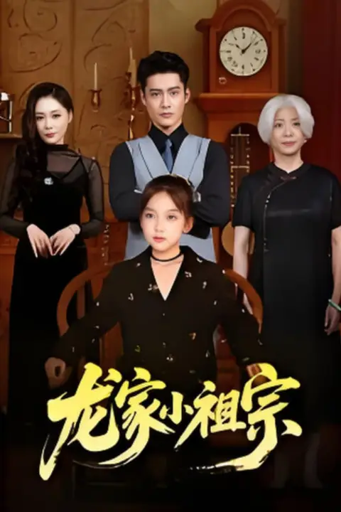 《龙家小祖宗》封面