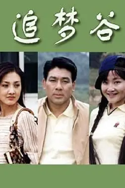 《追梦谷》封面
