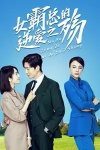 《女霸总的逆爱之殇》封面