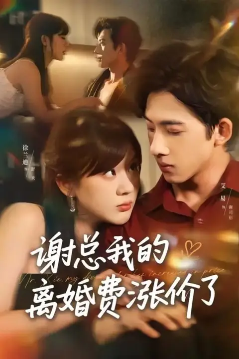 《谢总我的离婚费涨价了》封面