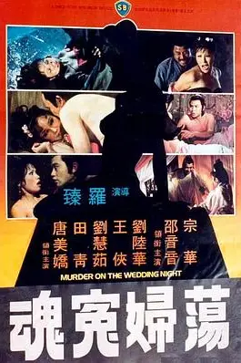 《荡妇冤魂 蕩婦冤魂》封面