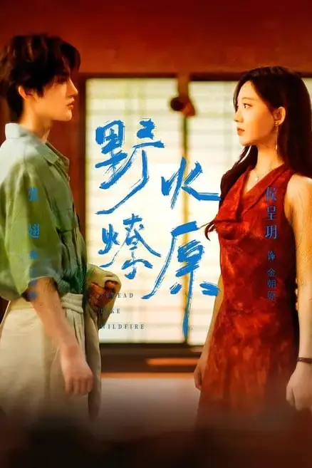 《野火燎原》封面