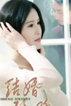 《结婚攻略》封面