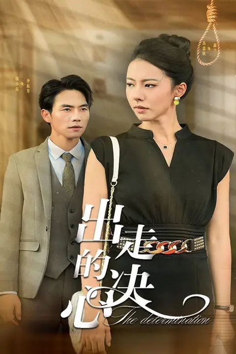 《出走的决心》封面