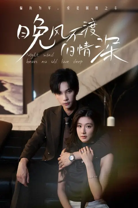 《晚风不渡旧情深》封面
