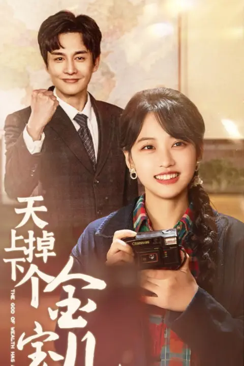 《天上掉下个金宝儿》封面