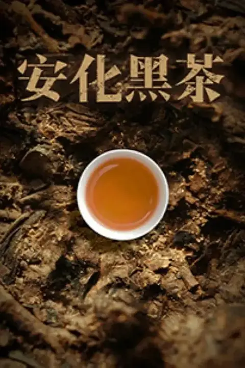《安化黑茶》封面