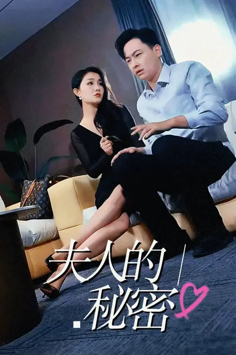《夫人的秘密》封面