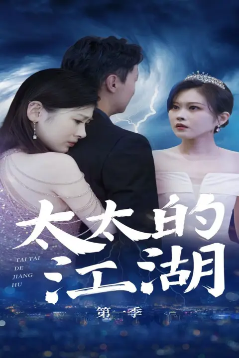 《太太的江湖》封面