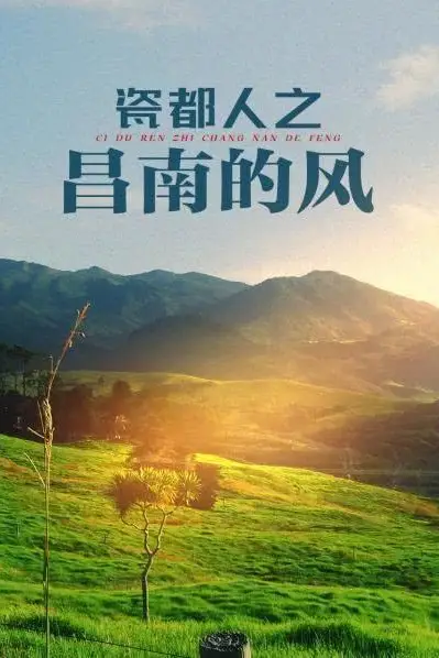 《昌南的风》封面