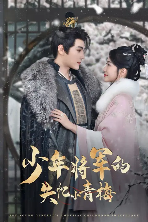 《少年将军的失忆小青梅》封面