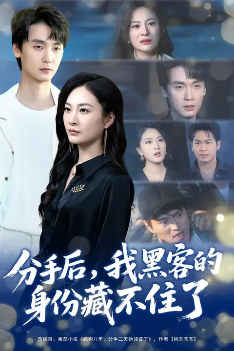 《分手后,我黑客的身份藏不住了》封面