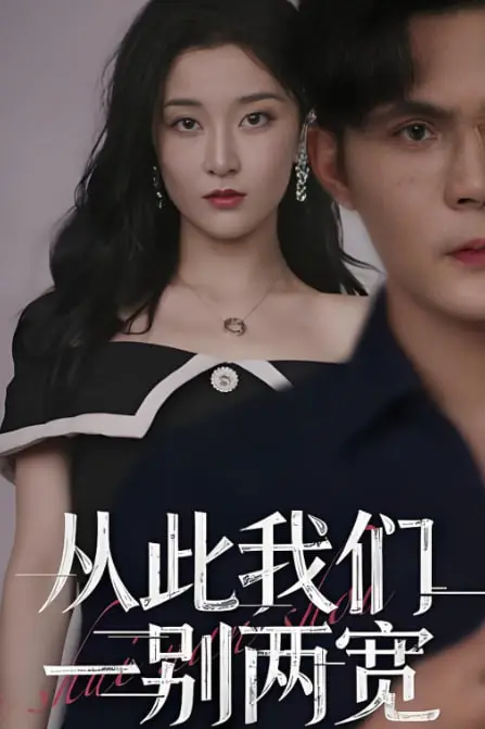 《从此我们一别两宽》封面