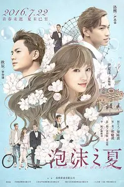 《泡沫之夏》封面