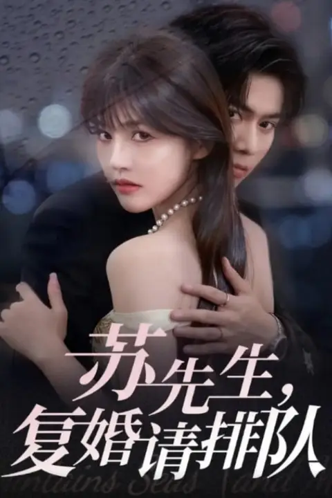 《苏先生,复婚请排队》封面