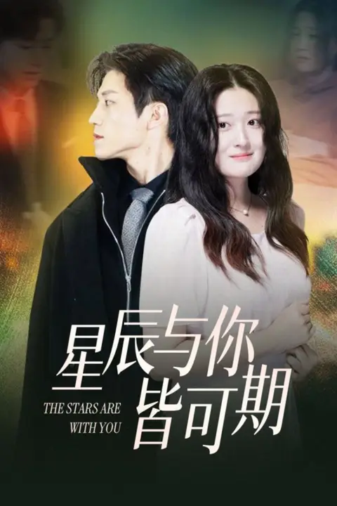 《星辰与你皆可期》封面