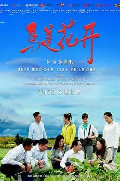 《马莲花开》封面
