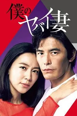 《我的危险妻子》封面