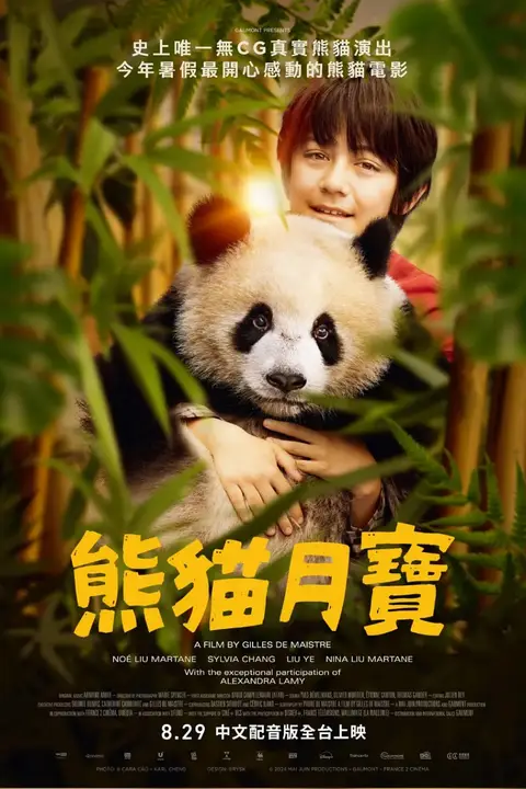 《熊猫月亮》封面