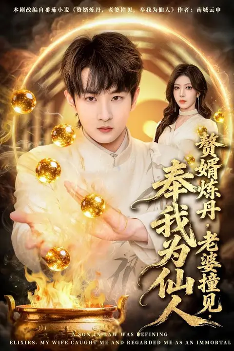 《赘婿炼丹,老婆撞见,奉我为仙人》封面