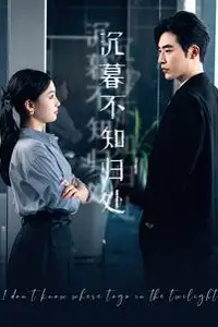 《沉暮不知归处》封面