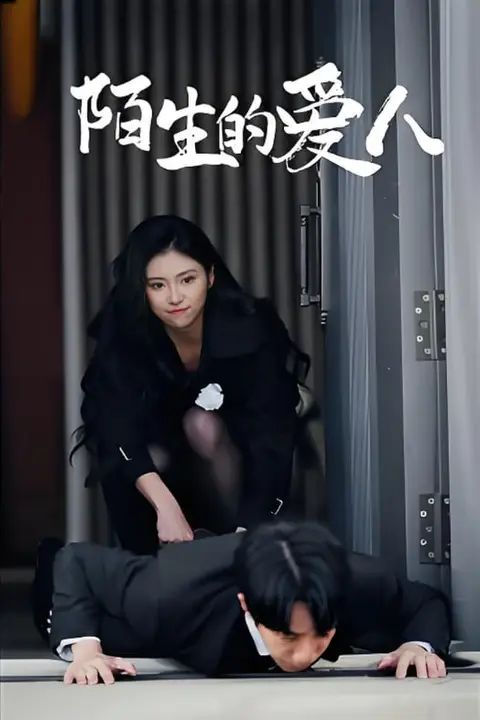 《陌生的爱人》封面