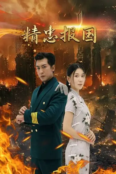 《精忠报国》封面