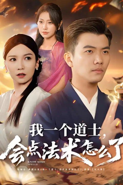 《我一个道士会点法术怎么了》封面