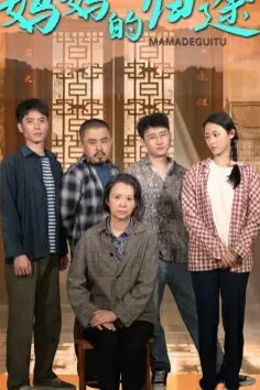 《妈妈的归途（归来之金凤成龙）》封面
