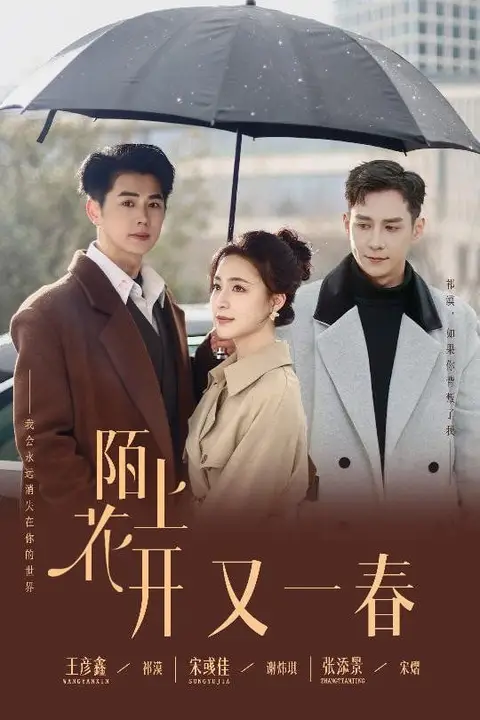 《陌上花开又一春》封面