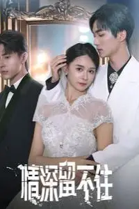《情深留不住》封面