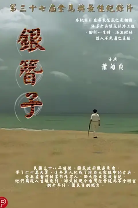 《银簪子》封面
