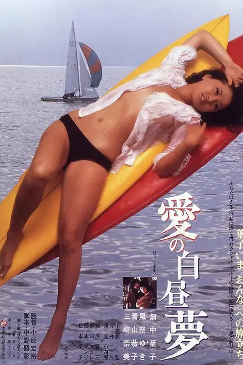 《爱的白日梦》封面