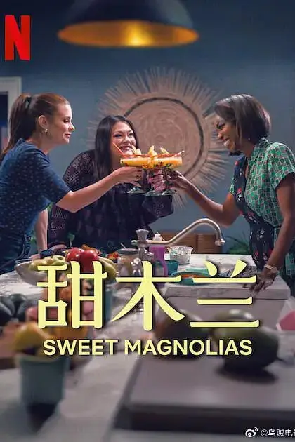 《甜木兰 第四季》封面