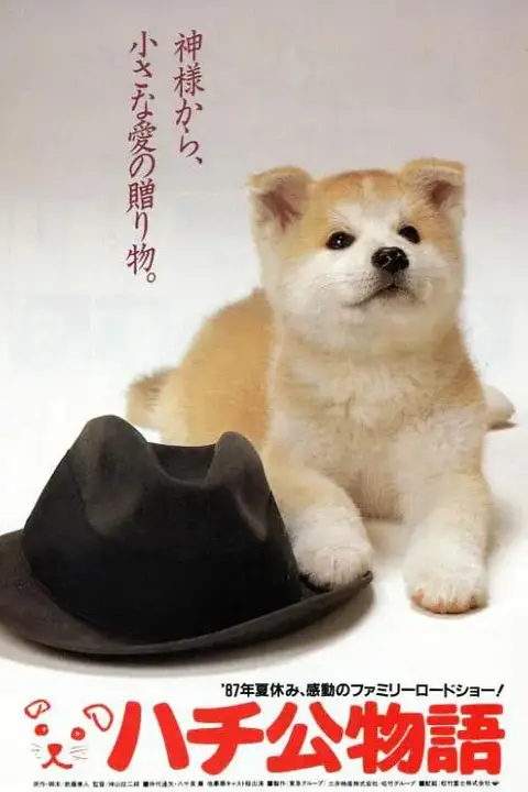 《忠犬八公物语》封面