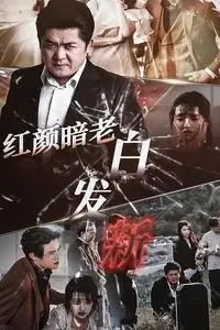 《红颜暗老白发新》封面