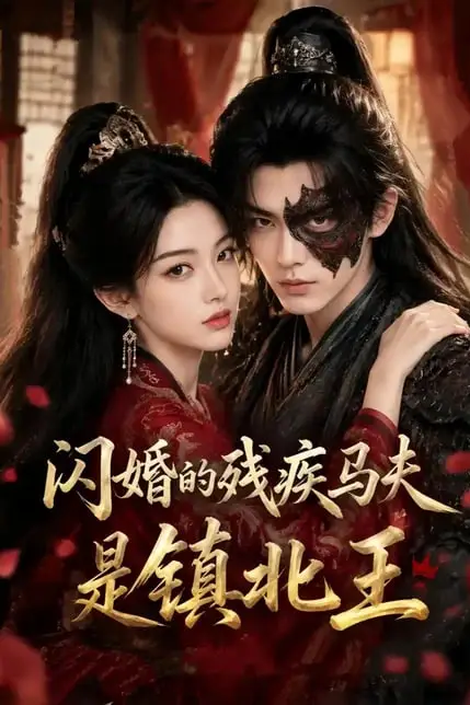 《闪婚的残疾马夫是镇北王》封面