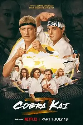 《眼镜蛇 第六季》封面